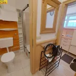 Almblick Apartment